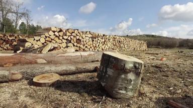 树砍伐运输存储行业